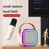 Portable Bluetooth Speaker&Mic