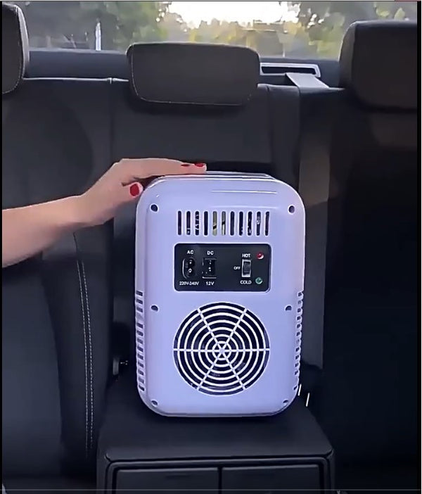 Car Mini Refrigerator