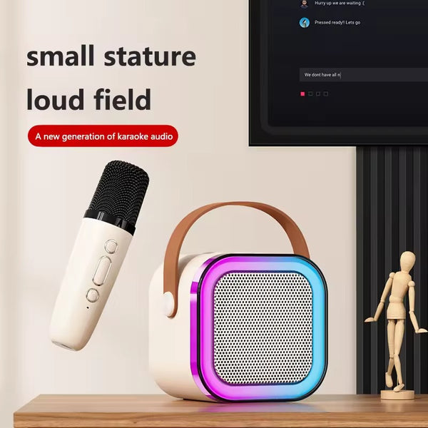 Portable Bluetooth Speaker&Mic